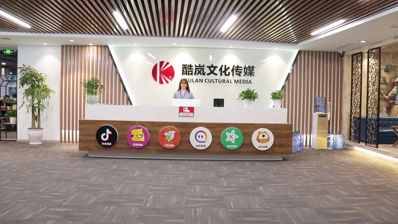 VI设计费用包含哪些要素？揭秘企业品牌形象塑造成本**